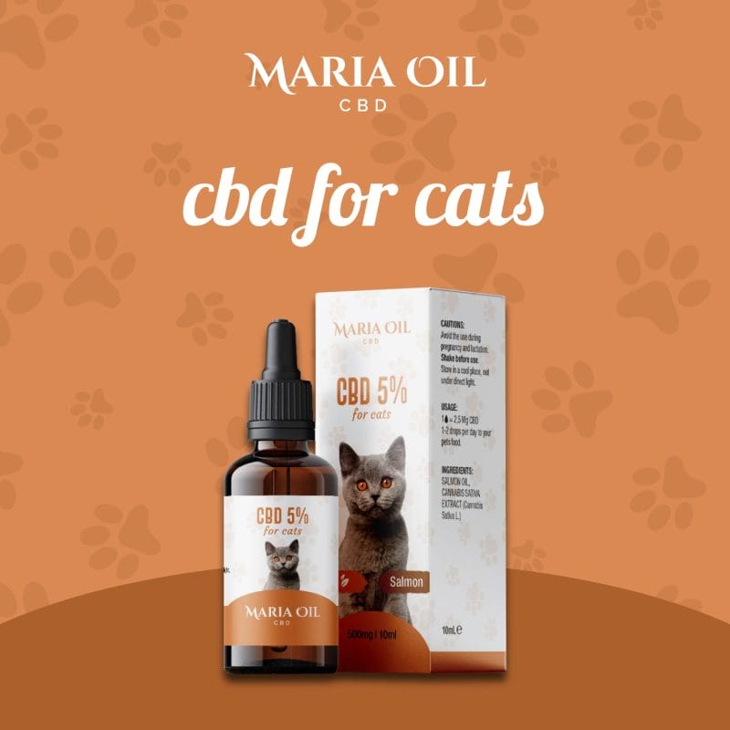 Olej CBD 5% dla kotów - obrazek 2