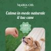 CBD krokiet dla psów z wołowiną i wieprzowiną - obrazek 3