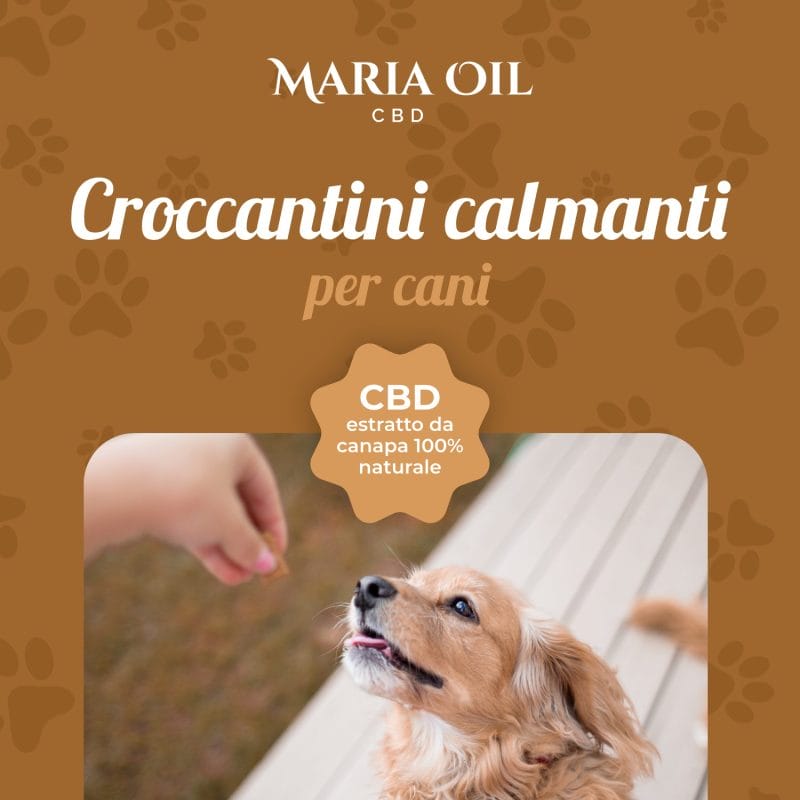 CBD Crunchies dla psów Kurczak i Indyk - obrazek 3