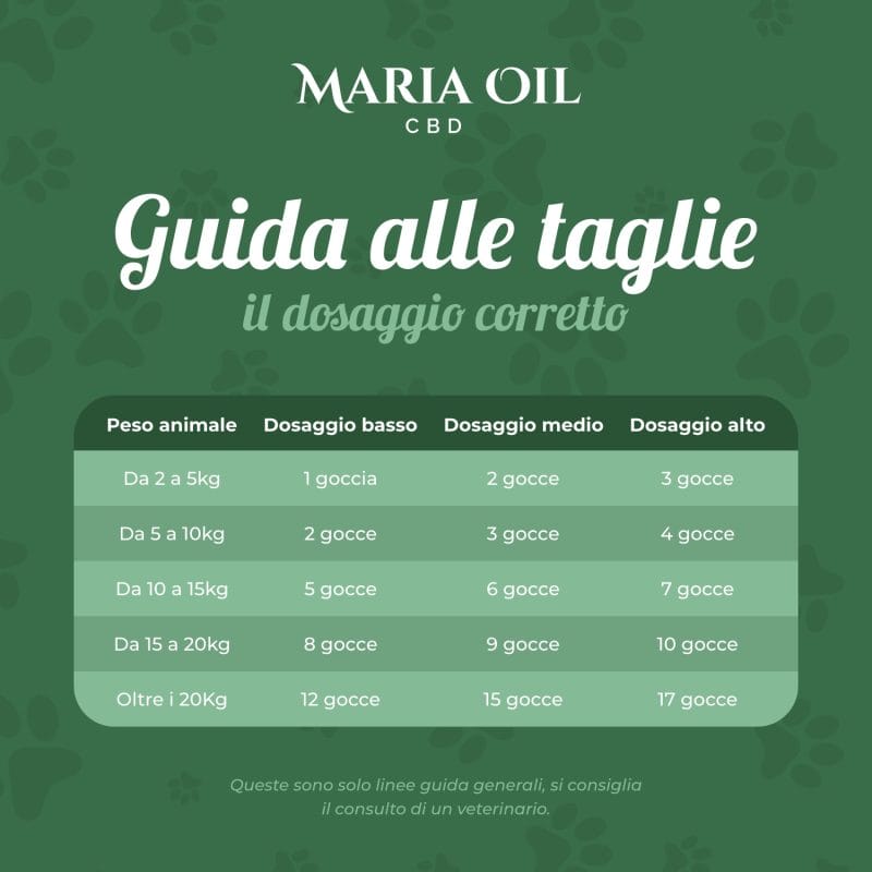Olej CBD 5% dla psów - obrazek 7