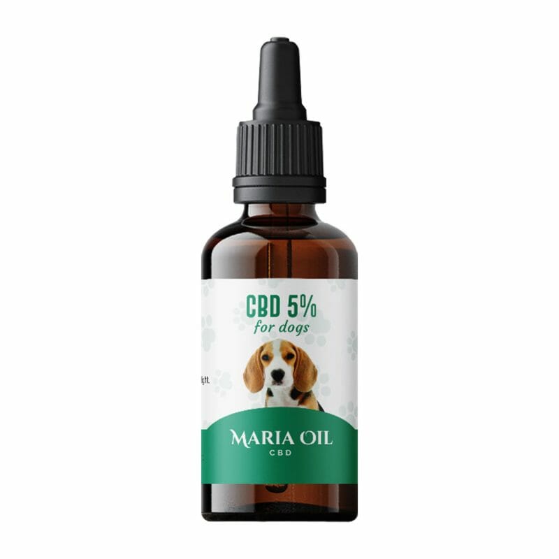 CBD oil Cane