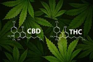 thc e cbd