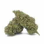 orange BUD Cannabis