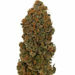 Purple_Haze