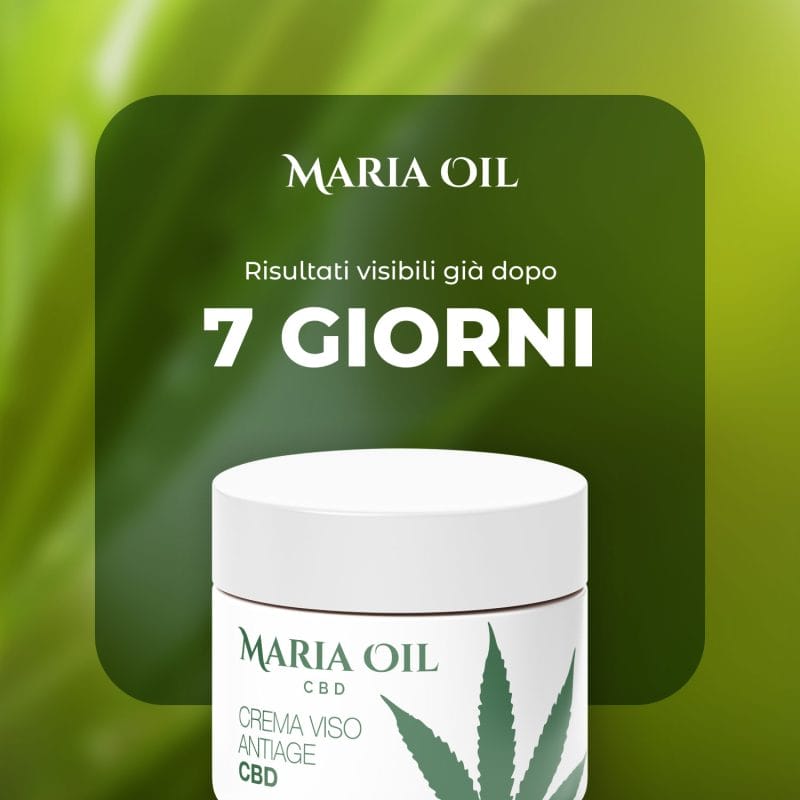 CBD przeciwstarzeniowy krem do twarzy - obrazek 4