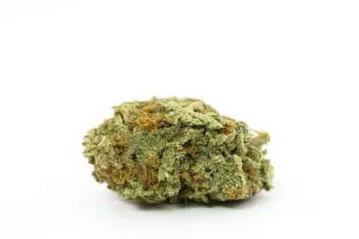 Amnesia PRO | Cannabis Light (Copia) (Copia) (Copia)