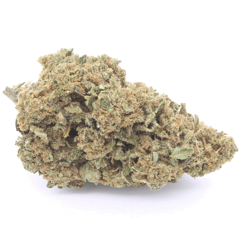 Amnesia PRO | Cannabis Light (Copia) (Copia)