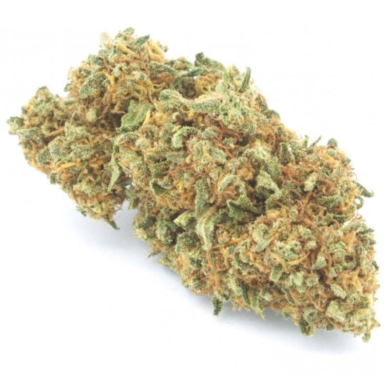 Amnesia PRO | Cannabis Light (Copia) (Copia) (Copia)