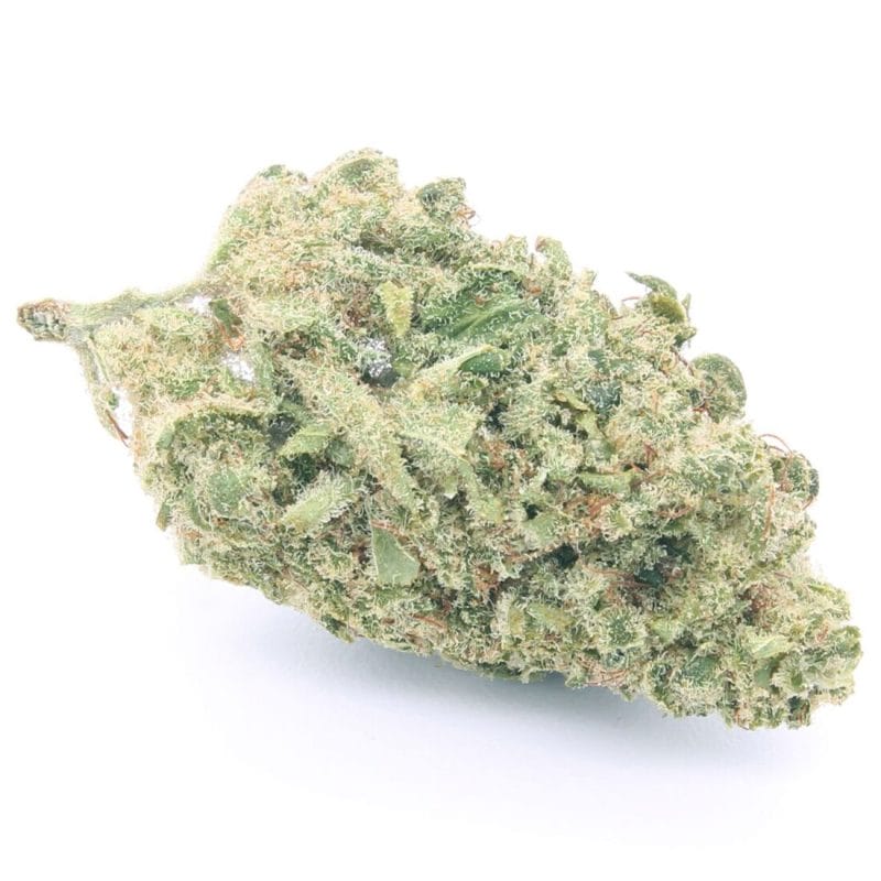 Amnesia PRO | Cannabis Light (Copia) (Copia)