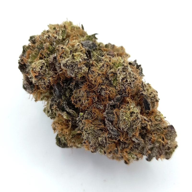 Amnesia PRO | Cannabis Light (Copia) (Copia) (Copia) (Copia) (Copia) (Copia) (Copia)