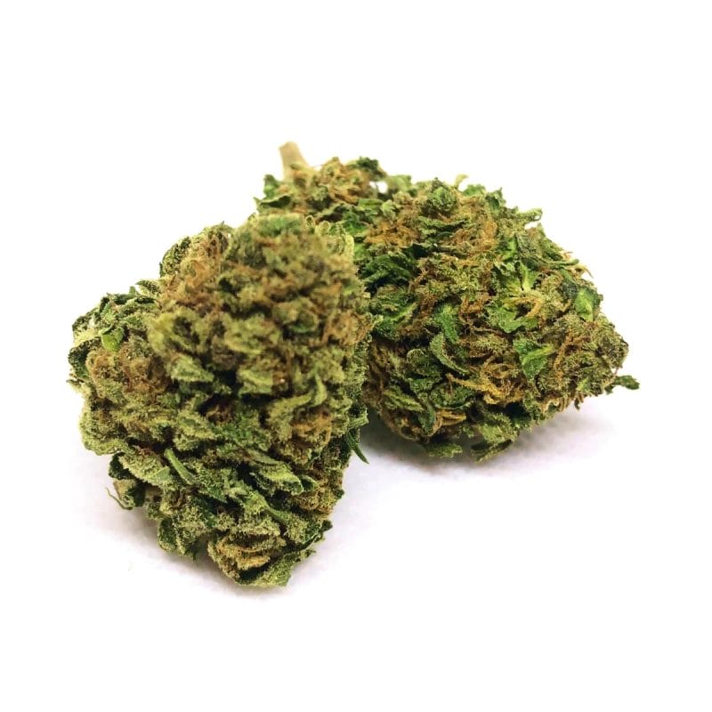 Amnesia PRO | Cannabis Light (Copia) (Copia) (Copia) (Copia) (Copia) (Copia) (Copia) (Copia) (Copia) (Copia) (Copia)