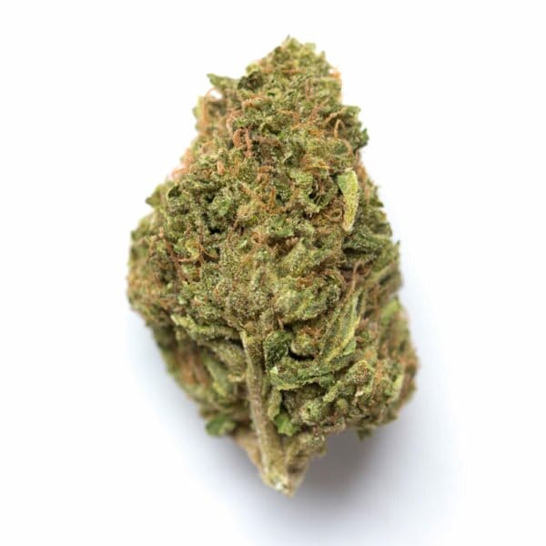 Amnesia PRO | Cannabis Light (Copia) (Copia) (Copia) (Copia) (Copia)