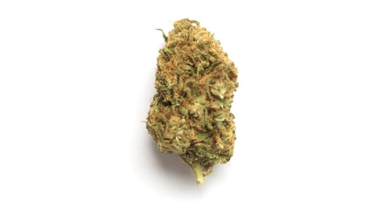 Amnesia PRO | Cannabis Light (Copia) (Copia) (Copia) (Copia) (Copia) (Copia) (Copia)