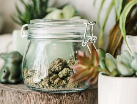Come conservare l'erba legale al CBD
